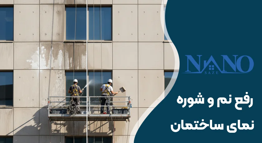 رفع نم و شوره نما